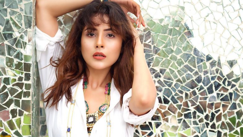Shehnaaz Gill Opens Up About Her Fitness Journey and How She Transformed Herself During the Lockdown on Shilpa Shetty&rsquo;s Show Shape of You