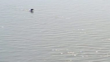 India News | Delhi Police Saves Student's Life After Tweet Alerts Suicide Bid