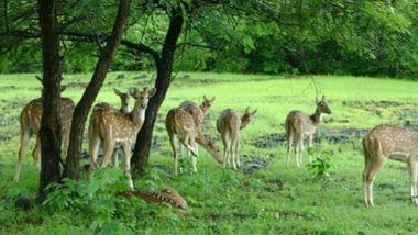 Parliamentary Panel Suggests Advisory Body For Addressing Human-Animal Conflict, Strict Measures For SBWL