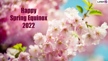 Spring Equinox 2022 Is Here, Signals Longer and Warmer Days for People Living in Northern Hemisphere