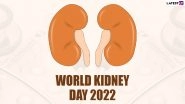 World Kidney Day 2022 Date, Theme & Significance: Symptoms, Causes & Preventive Measures to Raise Awareness About Kidney Health