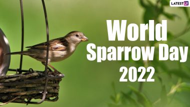 World Sparrow Day 2022: Political Leaders and Netizens Pledge to Protect House Sparrow