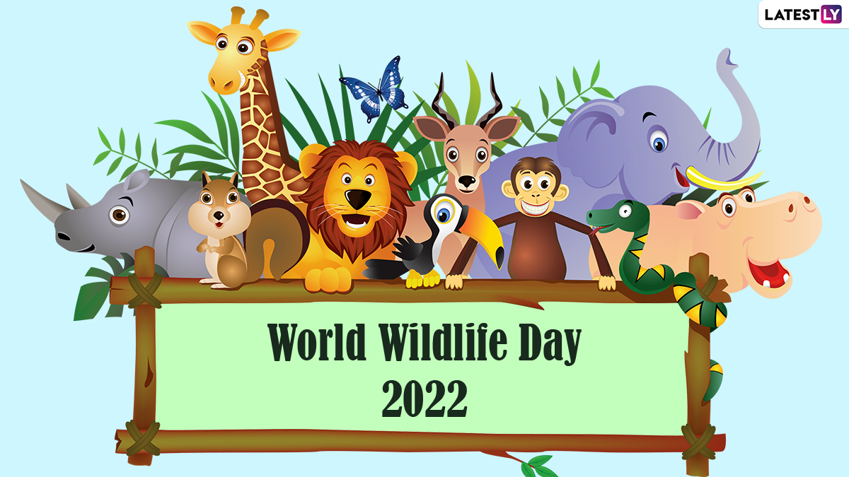 World Wildlife Day 2022 Quotes, HD Images & Slogans: Send WhatsApp  Stickers, Wildlife Protection Sayings, Powerful Messages and Telegram  Greetings to Raise Awareness | 🙏🏻 LatestLY