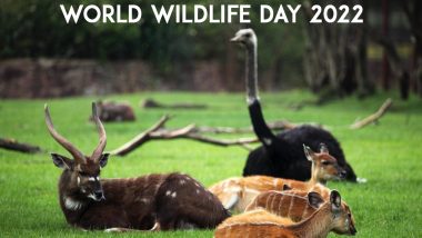 World Wildlife Day 2022: Date, Theme, History And Significance of The Day That Celebrates Diversity of Life on The Planet