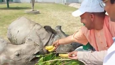 Uttar Pradesh CM Yogi Adityanath Inspects Shaheed Ashfaqullah Khan Zoo in Gorakhpur; Feeds 2 Rhinos Brought From Assam (Watch Video)