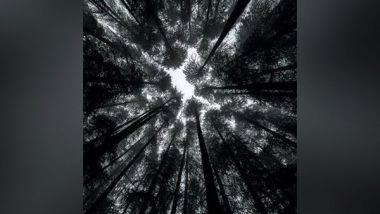 Science News | Study: In Coming Years Forest Loss Might Become Major Problem