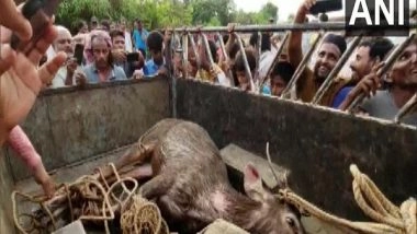 India News | Deer Rescued from Deep Well in Karnataka's Mangaluru