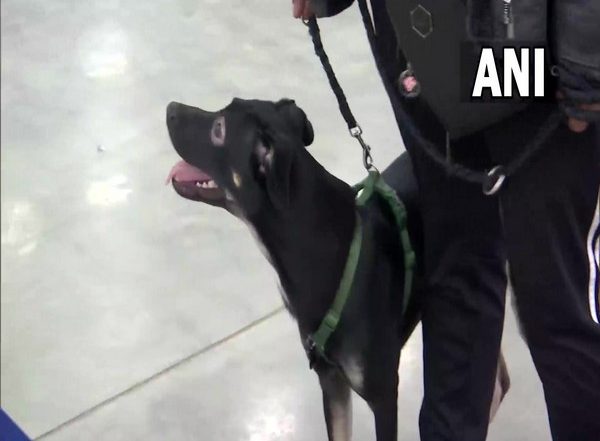 India News | Student Refuses to Leave Ukraine Without His Dog, Reaches India Via Hungary
