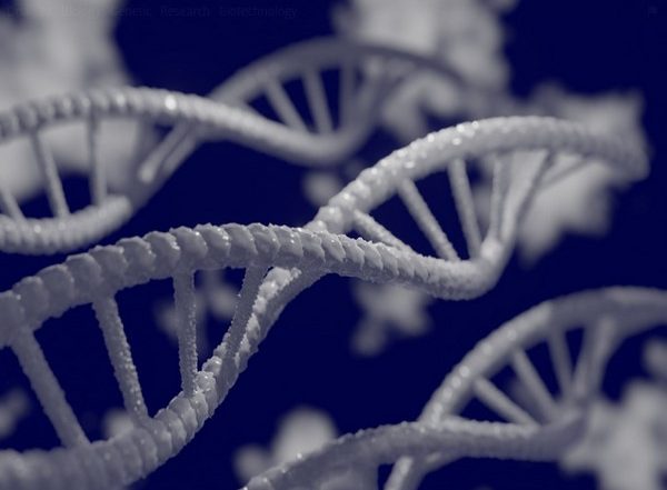 Science News | Research Finds Childhood Trauma, Genetics Associated with Increased Risk of Obesity