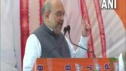 PM Narendra Modi Made Kashmir 'Crown of India' After Revoking Article 370, Says Amit Shah