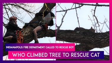 Indianapolis Fire Department Called To Rescue Boy Who Climbed Tree To Rescue Cat