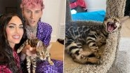 Megan Fox and Machine Gun Kelly Introduce Fans to Their New Feline Friend
