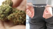 Bengaluru: Drug Peddler Arrested With Ganja Worth Rs 8 Lakh and Rs 65,000 Cash