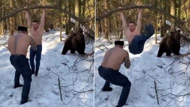 This Video of Two Men Casually Exercising In Icy Forest Along With A Huge Grizzly Bear Will Freak you Out; Watch Viral Video