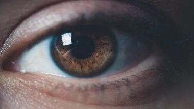Science News | Walling off or 'bunkering' Retina Can Save Eyesight, Suggests Study