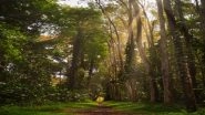Science News | Regrown Tropical Forests May Have Short Lifespans, Reveals Study