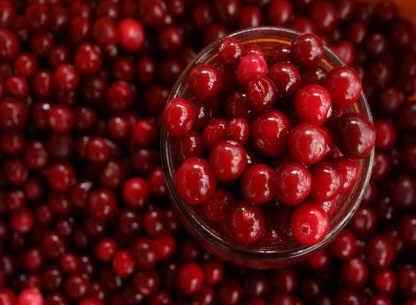 Lifestyle News | Daily Consumption of Cranberries Can Improve Cardiovascular Health, Suggests Study