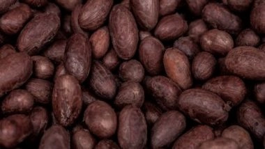 Lifestyle News | Cocoa Flavanol Supplement Shows Promise for Reducing Cardiovascular Risk, Suggests Study
