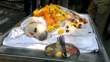 Simba, Bomb Detection And Disposal Squad Dog, Laid To Rest With Full Honours; Watch Video