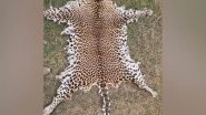 India News | STF Odisha Nabs Wild Life Poacher, Leopard Skin Seized