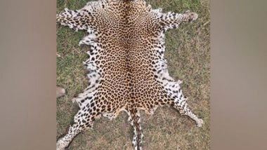 India News | STF Odisha Nabs Wild Life Poacher, Leopard Skin Seized