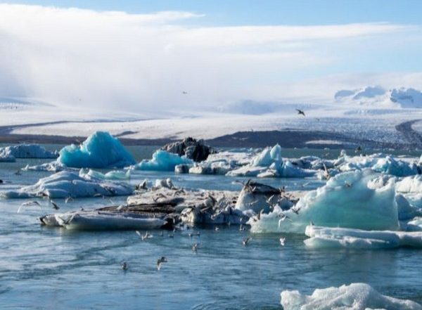 Science News | Fast-melting Alpine Permafrost May Contribute to Rising Global Temperatures: Study