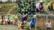 Business News | Social Organization Achieves Massive Milestone of Planting 10 Million Trees Across India