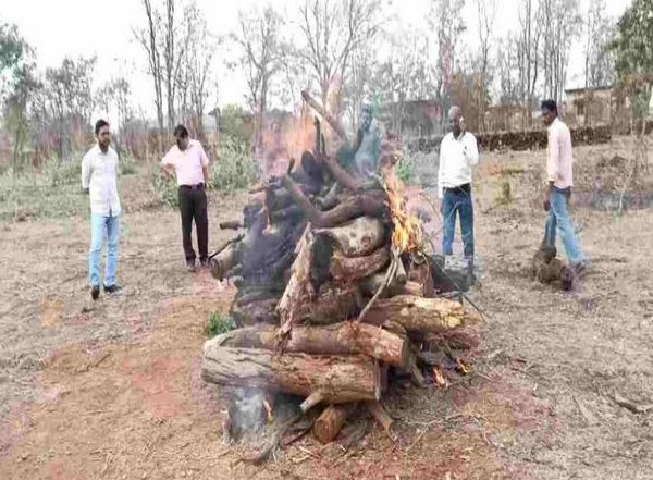 India News | Chhattisgarh: 45-day Pregnant Leopard Dies in Dhamtari District