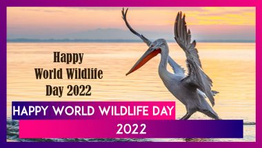 World Wildlife Day 2022: Quotes, Messages and Images Raising Awareness on Wildlife and Nature