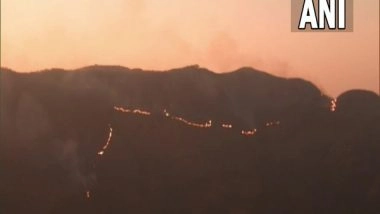 India News | Fire Continues to Rage in Forest Area of Perumal Hills Near Kodaikanal in Tamil Nadu