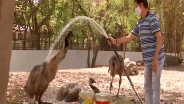India News | Surat Zoo Makes Special Arrangements to Keep Animals Cool