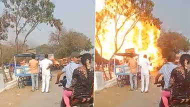 New Royal Enfield Bullet Explodes and Bursts Into Flames Outside Andhra Pradesh Temple (Watch Shocking Video)