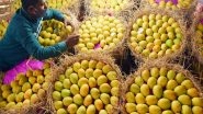 India News | As Mango Supply Falls in Telangana, Prices Soar, Fruit Dealers, Customers Discontented