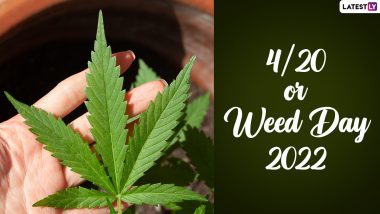 4/20 or Weed Day 2022 Date, History & Significance: Why Is This Marijuana Holiday Called 4:20 or 420 Celebration? Everything You Need To Know