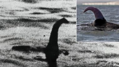 Loch Ness Monster Is Not A Whale Penis – Latest News Information ...