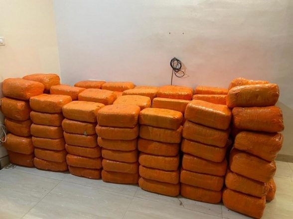 India News | Nearly 1,170 Kg of Cannabis Worth Rs 2.33 Cr Seized in Andhra - Vimarsana News