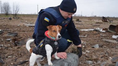 2-Year-Old Dog Named Patron Saves Lives in Ukraine by Sniffing Out Explosives