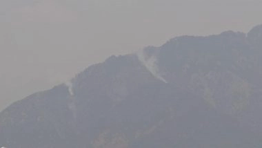 India News | Forest Fires Rage in Dhauladhar Mountain Range Near HP's Dharamshala