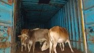 India News | Assam: Two Smugglers Held with 24 Cattle Heads in Nagaon