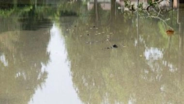 World News | Death Toll from Flash Floods, Landslides in Rio De Janeiro Rises to 14