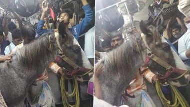 Horse in Local Train: Horse Travelling in A Crowded Train in West Bengal; Watch Viral Pics