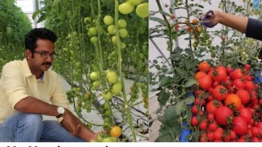 Business News | PlantMe Agro Solutions Partners with Cafes and Resorts to Provide  Pesticide-free Food