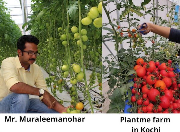 Business News | PlantMe Agro Solutions Partners with Cafes and Resorts to Provide  Pesticide-free Food