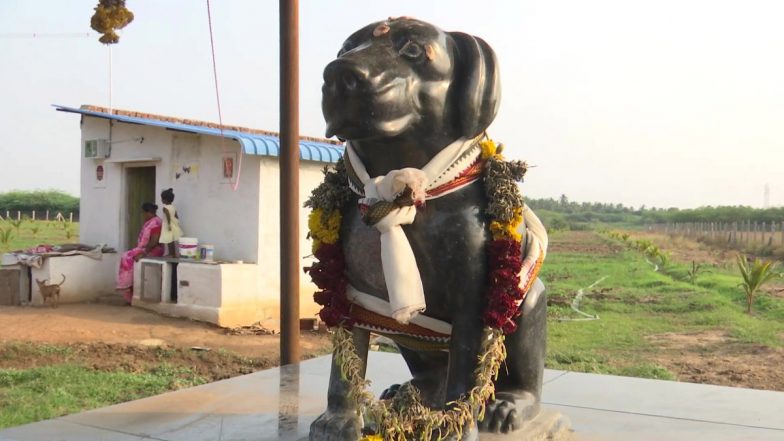 Tamil Nadu: 82-Year-Old Man Builds Temple in Memory of His Pet Dog Tom in Manamadurai