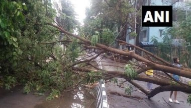 India News | Death Toll Rises to 14 as Heavy Rain Accompanied by Storm, Lightening Lashes Assam