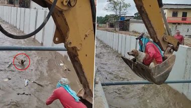 Construction Crew Use Excavator to Rescue Dog From Canal in Ecuador (Watch Video)
