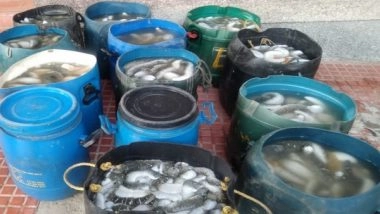 India News | Two Held with Sea Cucumbers in Rameswaram