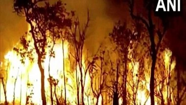 India News | Andhra Pradesh: Fire Breaks out in Forest Region of Tirumala