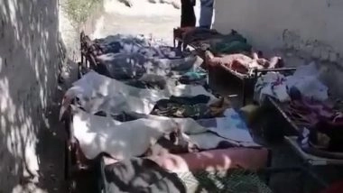 World News | Pakistani Airstrikes in Afghanistan Have Escalated Tensions Between Two Countries: Report