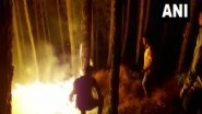 India News | Fire Breaks out in Forests of Uttarkhand's Pithoragarh, Tehri Garhwal